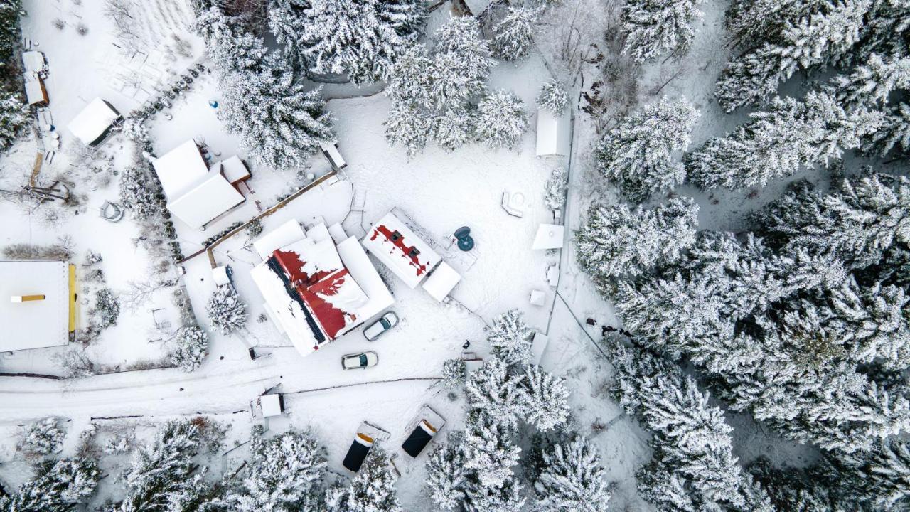 Beczki Pod Lasem Trzemesnia Bagian luar foto