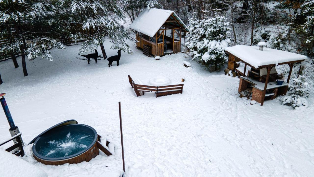Beczki Pod Lasem Trzemesnia Bagian luar foto
